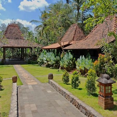 Alas Arum Ecolodge Selemadeg Exteriér fotografie