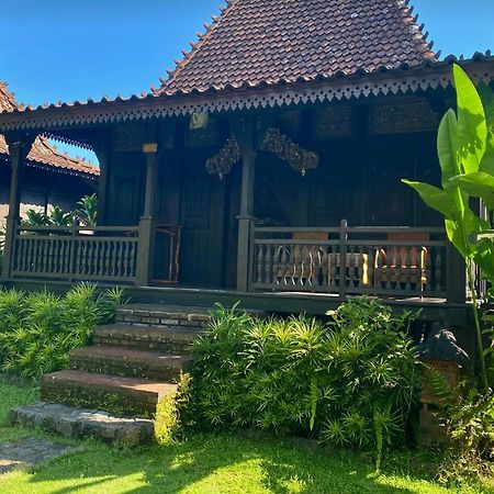 Alas Arum Ecolodge Selemadeg Exteriér fotografie