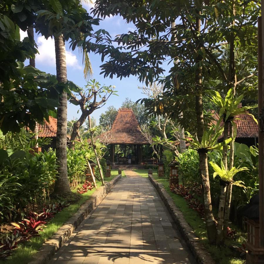 Alas Arum Ecolodge Selemadeg Exteriér fotografie